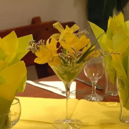 Apartcomplex New Tawn Διαμέρισμα Obzor